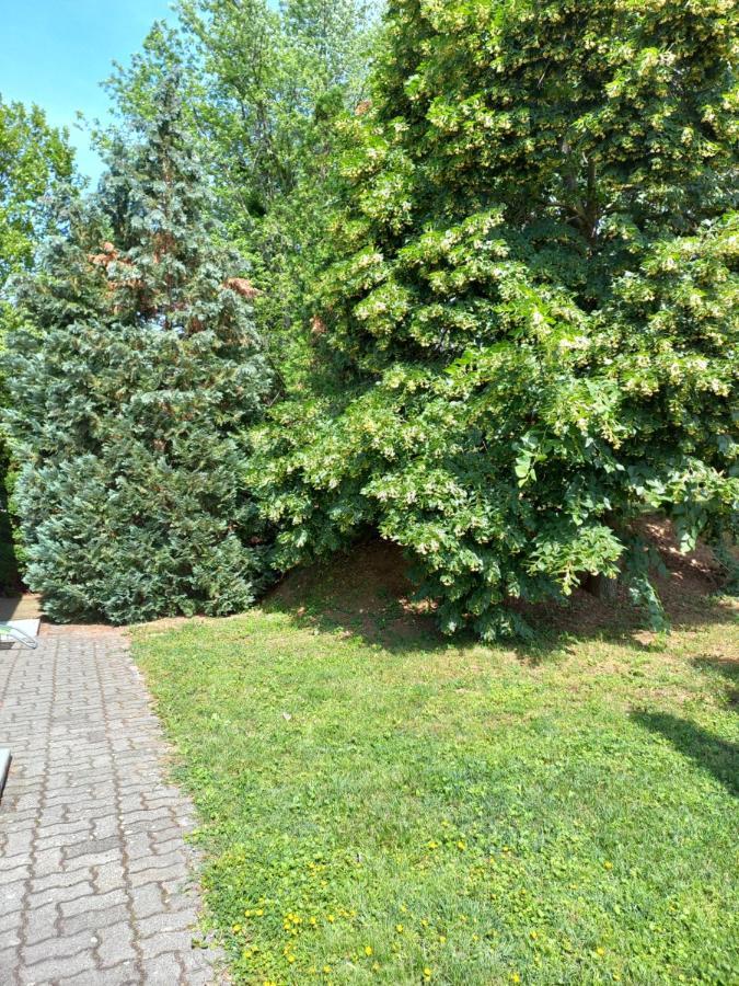Helena Apartman チェーセクトマイ エクステリア 写真